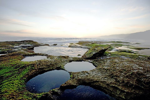 LGBT+ Friendly 3 Day Private Tour Great Ocean Road & Phillip Island - Coogee Beach Accommodation 5