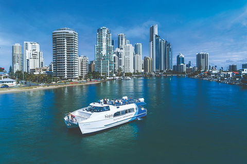 Hop On Hop Off Day Pass | Hopo Gold Coast Ferry - Coogee Beach Accommodation 3