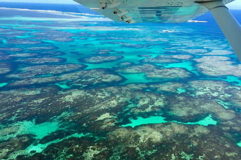 Shipwreck Special Full Day Tour Of The Abrolhos Islands - Coogee Beach Accommodation 1