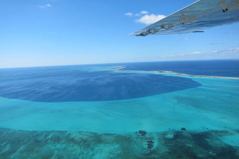 Shipwreck Special Full Day Tour Of The Abrolhos Islands - Coogee Beach Accommodation 2