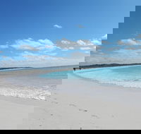 Shipwreck Special Nature Tour/Half Day Tour - Coogee Beach Accommodation
