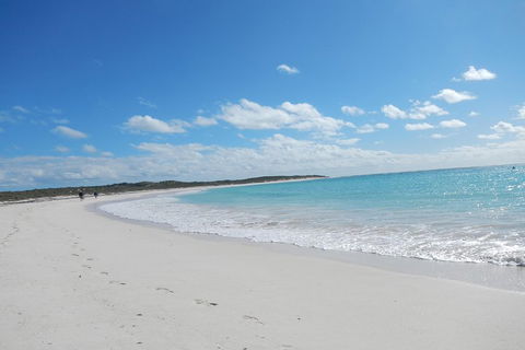 Shipwreck Special Nature Tour/Half Day Tour - Coogee Beach Accommodation 0