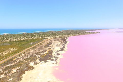 70-minute Pink Lake Scenic Flight - Coogee Beach Accommodation 5