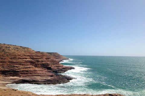 Kalbarri, Pink Lake And Abrolhos Islands Nature Tour - Coogee Beach Accommodation 0