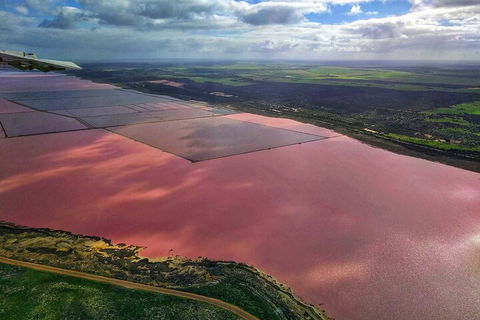 Kalbarri, Pink Lake And Abrolhos Islands Nature Tour - Coogee Beach Accommodation 1