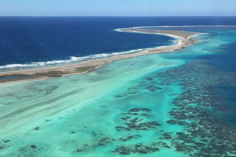 Kalbarri, Pink Lake And Abrolhos Islands Nature Tour - Coogee Beach Accommodation 3