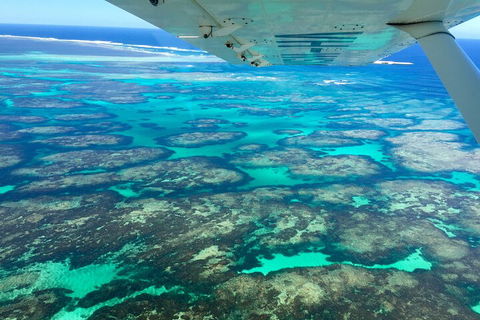 Kalbarri, Pink Lake And Abrolhos Islands Nature Tour - Coogee Beach Accommodation 5