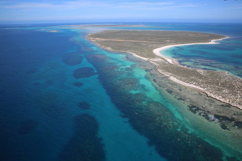Pink Lake + Abrolhos Islands Scenic Flight - Coogee Beach Accommodation 0