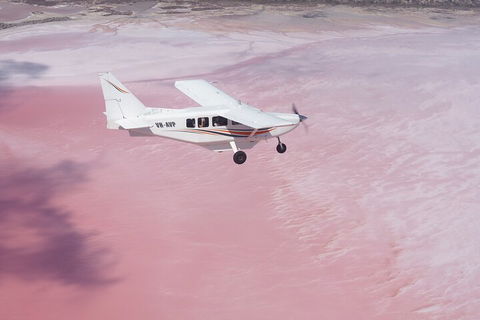 Pink Lake + Abrolhos Islands Scenic Flight - Coogee Beach Accommodation 2