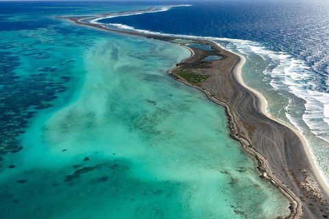 Pink Lake + Abrolhos Islands Scenic Flight - Coogee Beach Accommodation 3