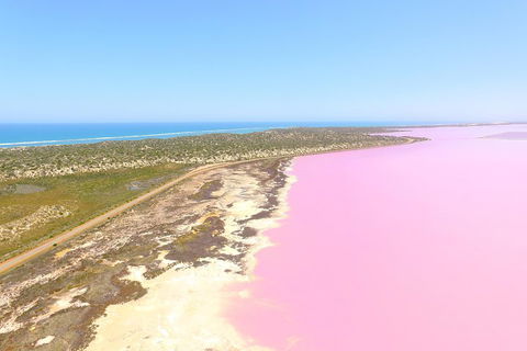 Pink Lake + Abrolhos Islands Scenic Flight - Coogee Beach Accommodation 4