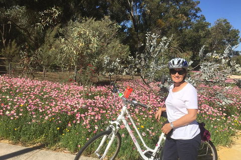 Perth Bike Tour - Beautiful Matilda Bay And Kings Park - Coogee Beach Accommodation 1