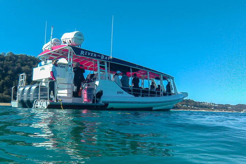 Best Of Moreton Bay Cruise - Coogee Beach Accommodation 0