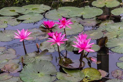 Kakadu, Nourlangie And Yellow Waters Tour From Darwin - Coogee Beach Accommodation 1