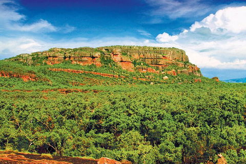Kakadu, Nourlangie And Yellow Waters Tour From Darwin - Coogee Beach Accommodation 3