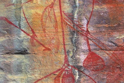 2-Day Kakadu And Arnhem Land Tour From Darwin - Coogee Beach Accommodation 2