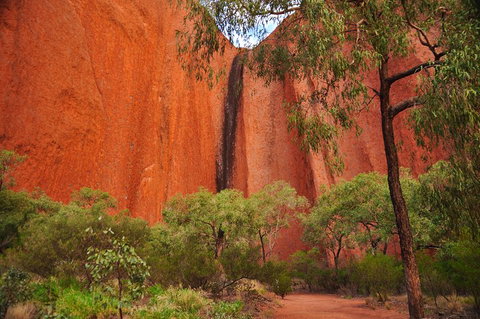 Uluru Sunrise And Guided Base Walk - Coogee Beach Accommodation 3
