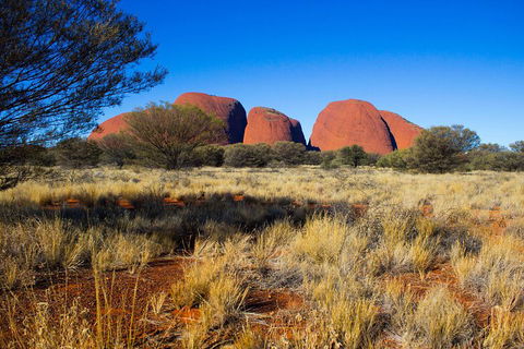Kata Tjuta Sunrise And Valley Of The Winds Half-Day Trip - Coogee Beach Accommodation 1