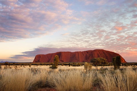 Uluru (Ayers Rock) Base And Sunset Half-Day Trip With Opt Outback BBQ Dinner - Coogee Beach Accommodation 3