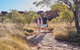 Kings Canyon Guided Rim Walk - thumb 4