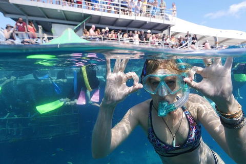 Great Barrier Reef Day Cruise From Cairns Including Snorkeling And Marine Biologist Presentation - Coogee Beach Accommodation 0