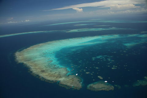Great Barrier Reef Day Cruise From Cairns Including Snorkeling And Marine Biologist Presentation - Coogee Beach Accommodation 1