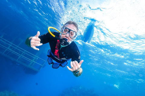 Great Barrier Reef Day Cruise From Cairns Including Snorkeling And Marine Biologist Presentation - Coogee Beach Accommodation 3