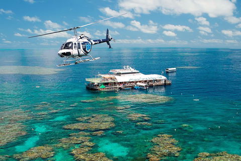 Great Barrier Reef Day Cruise From Cairns Including Snorkeling And Marine Biologist Presentation - Coogee Beach Accommodation 5