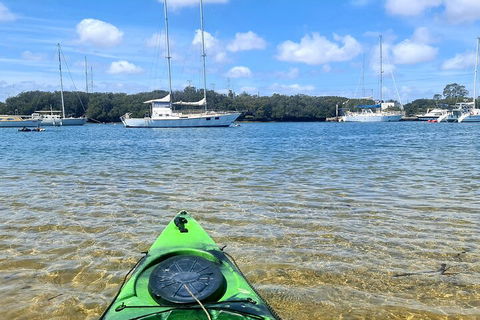 Kayak Tour In Adelaide Dolphin Sanctuary - Coogee Beach Accommodation 4