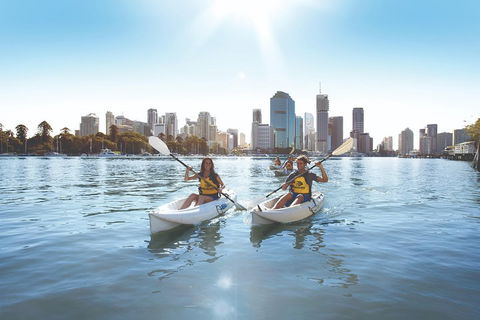 Brisbane Kayak Tour - Coogee Beach Accommodation 0
