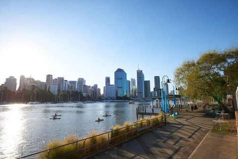 Brisbane Kayak Tour - Coogee Beach Accommodation 1