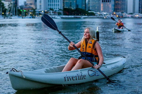 Brisbane Kayak Tour - Coogee Beach Accommodation 2