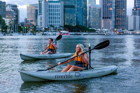 Brisbane Kayak Tour - Coogee Beach Accommodation 3