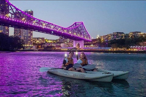 Brisbane Kayak Tour - Coogee Beach Accommodation 4