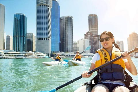 Brisbane Kayak Tour - Coogee Beach Accommodation 5