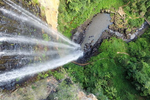Natural Bridge & Springbrook Waterfalls Tour + Hot Air Balloon With Breakfast - Coogee Beach Accommodation 1