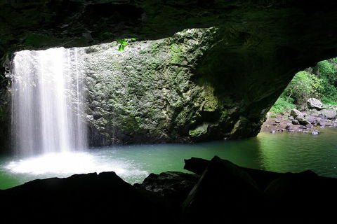 Natural Bridge & Springbrook Waterfalls Tour + Hot Air Balloon With Breakfast - Coogee Beach Accommodation 2