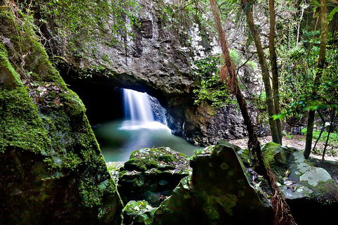 Natural Bridge & Springbrook Waterfalls Tour + Hot Air Balloon With Breakfast - Coogee Beach Accommodation 4
