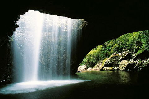 Natural Bridge & Springbrook Waterfalls Tour - Coogee Beach Accommodation 0