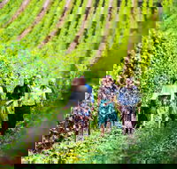 Tasmanian Wine Tour - Coogee Beach Accommodation