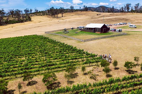 Tasmanian Wine Tour - Coogee Beach Accommodation 3