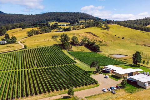 Tasmanian Wine Tour - Coogee Beach Accommodation 4
