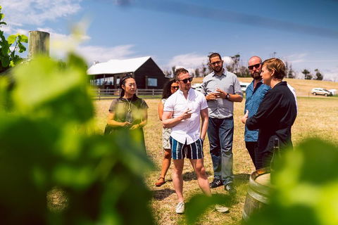 Tasmanian Wine Tour - Coogee Beach Accommodation 5