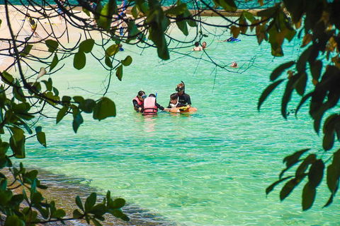 Green Island Day Trip From Cairns - Coogee Beach Accommodation 2