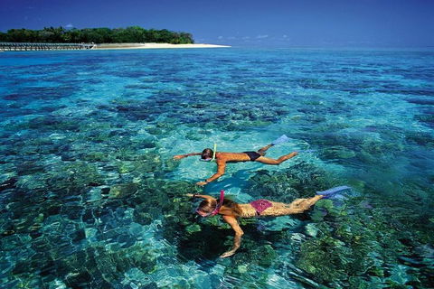 Green Island Day Trip From Cairns - Coogee Beach Accommodation 5