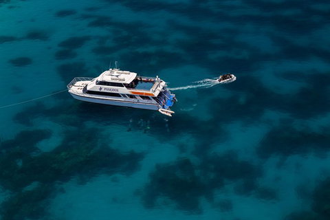 Quicksilver Dive 4 Day PADI Learn To Dive Course - Coogee Beach Accommodation 1