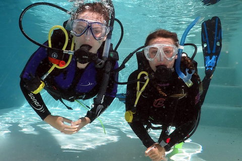 Quicksilver Dive 4 Day PADI Learn To Dive Course - Coogee Beach Accommodation 2
