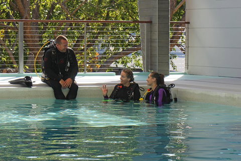 Quicksilver Dive 4 Day PADI Learn To Dive Course - Coogee Beach Accommodation 3