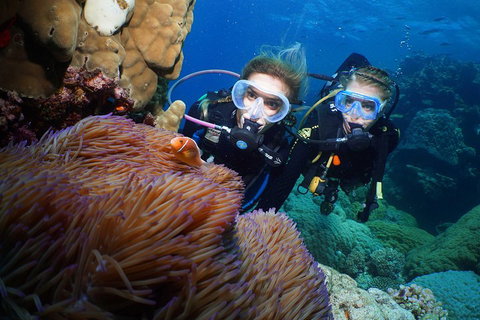Quicksilver Dive 4 Day PADI Learn To Dive Course - Coogee Beach Accommodation 4