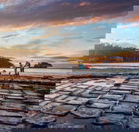 Port Arthur Private Charter Service - Coogee Beach Accommodation